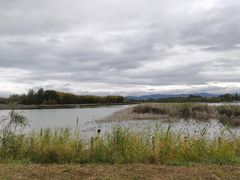 -野鸭湖国家湿地公园