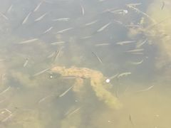 -太湖湖滨国家湿地公园-停车场