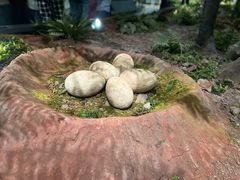 -湖南省地质博物馆