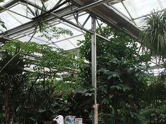 -金稼园·金平湖农家菜