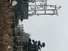 -阿哈湖国家湿地公园