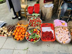 -青城甲(青城山店)