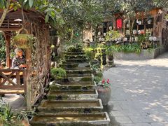 -青城甲(青城山店)