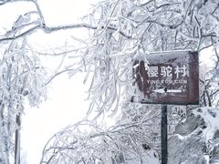 -紫金山山顶公园