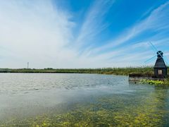 -宁波杭州湾国家湿地公园
