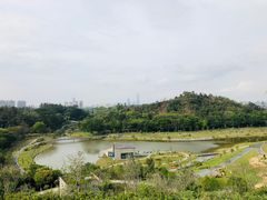 -东莞植物园