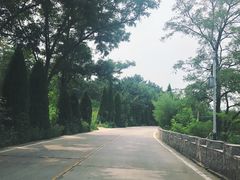 -崂山仰口游览区