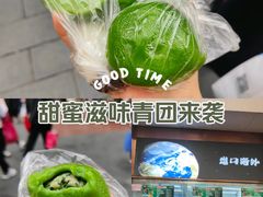 -沈大成(南京东路店)