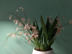 -三圣花乡旅游区