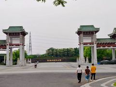 -王借岗森林公园