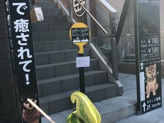 -鎌倉茶々(本店)