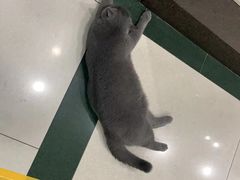 -壹人壹像工作室(购物公园店)