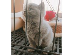 -阿甘锅盔(合生汇购物中心店)