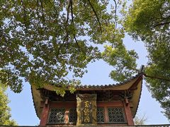 -杭州黄龙洞