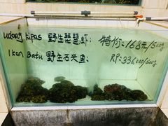-海盗餐厅