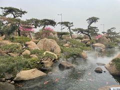 -罗红摄影艺术馆