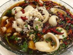 墨鱼仔-小耕园