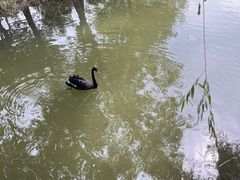 -河北省园博园