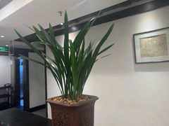 -皇城老妈川味火锅·大连海鲜火锅(港湾店)