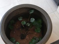 -德艺康筋膜康复中心·艾灸·推拿·抗衰