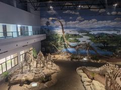 -自贡恐龙博物馆