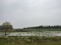 -艾溪湖湿地公园