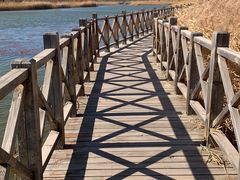 -野鸭湖国家湿地公园