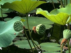 -云居湖