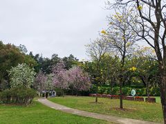 -二沙岛艺术公园