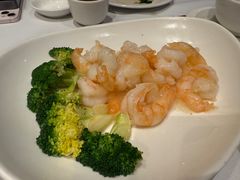 -食为先(Shark Fin)