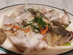 -大榕树下顺德菜(融创茂店)