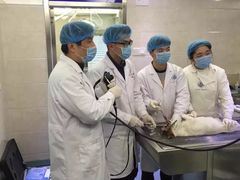 -动物缘宠物医院·骨科·猫科(西二环店)