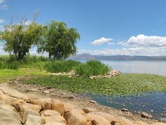 -洱海月湿地公园