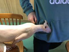 -藦茜花园宠物主题亲子互动体验馆(国顺东路店)