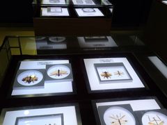 -上海昆虫博物馆