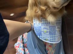 -立德动物医院·24小时中心(番禺区院区)