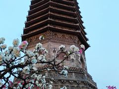 -玲珑塔公园