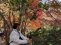 -秋霞圃