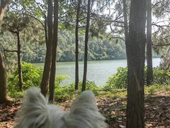-南京市无想山景区