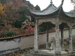 -遵化市禅林寺古银杏风景园