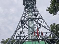 -汤旺河林海奇石景区