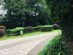 -青龙山公园
