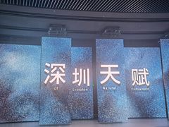 -深圳市当代艺术与城市规划馆