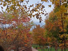 -三块石国家森林公园