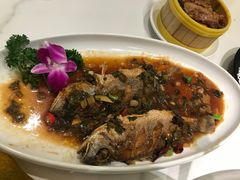 -刘胖子家常菜·蹄花焖藕(中央花园店)