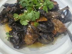 -阿静美食