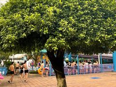 -重庆海昌加勒比海水世界