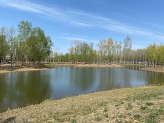 -东郊湿地公园