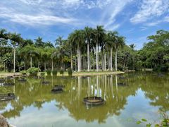 -中国科学院西双版纳热带植物园