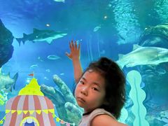 -暹罗海洋世界